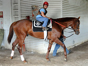 Shackleford - Belmont, June 4, 2011.