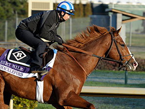 Shackleford - Churchill Downs, Nov 1, 2011.