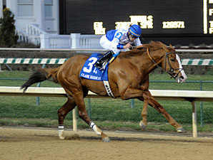 Shackleford wins the 2012 Clark Handicap.