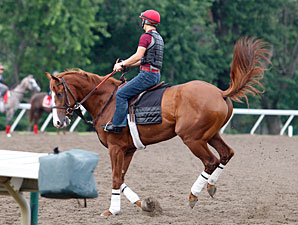 Shackleford - Monmouth Park, July 28, 2011.