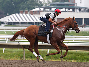 Shackleford - Monmouth Park, July 29, 2011.