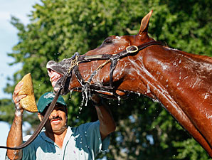Shackleford - Monmouth Park, July 30, 2011.