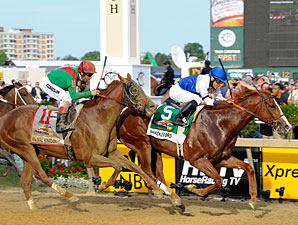 Shackleford wins the Preakness Stakes.