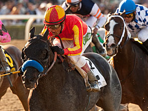 Shakin It Up wins the San Vincente Stakes.