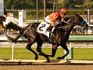 Shakin It Up wins the San Vincente Stakes.