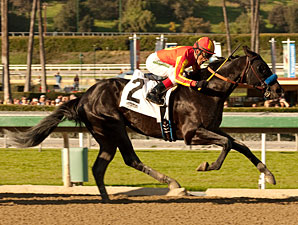 Shakin It Up wins the San Vincente Stakes.