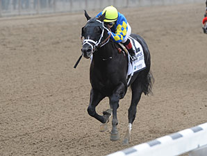 Shanghai Bobby wins the 2012 Champagne.