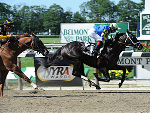 Shanghai Bobby wins the 2012 Champagne.