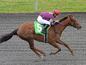 Share the Sugar - Maiden Win at Keeneland, April 4, 2014.