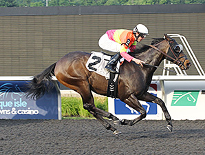 Sharp Sensation wins the Karl Boyes Memorial.