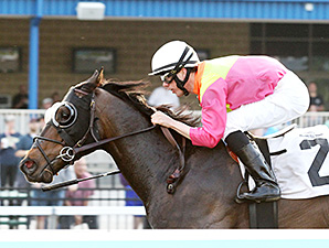 Sharp Sensation wins the Karl Boyes Memorial.