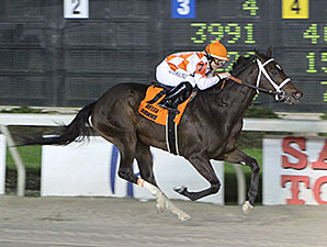 She Loves Runnin' wins the 2014 Lookout Stakes.
