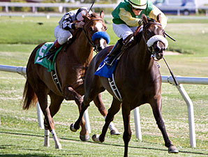 She Spirit di Su wins Jack Demeo Horseman of the Year Stakes.