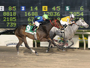 Sheer Beauty wins the 2010 Green Oaks.