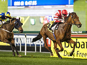 Sheikhzayedroad wins the 2014 Dubai Duty Free Golf World Cup.
