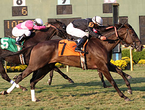 She's All In wins the 2011 River Cities Stakes.