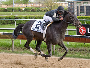 She's All In wins the 2012 Sixty Sails Handicap.