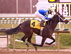 She's All Scat wins the 2012 Gin Talking Stakes.