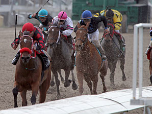 She's Prado's Idol wins the 2012 Crescent City Oaks.