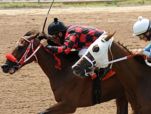 She's Prado's Idol wins the 2012 Louisiana Cup Oaks.