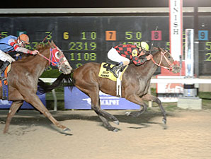 She's Prado's Idol wins the 2012 Magnolia.