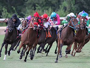 She's Prado's Idol wins the 2012 River Cities Stakes.