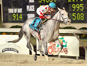 Shezacrazygirl wins the 2009 Louisiana Jewel Stakes.