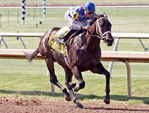 Shocktime wins the 2011 TTA Sales Futurity Fillies Division.