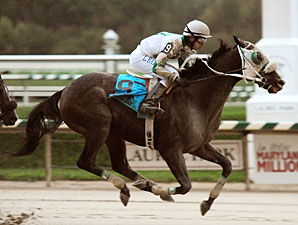 Shordawatyadrink wins the 2011 Maryland Million Starter Handicap.