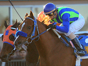 Show Some Magic wins the Riley Allison Futurity.