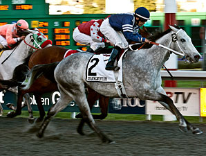 Shudacudawudya wins the 2012 Albany.