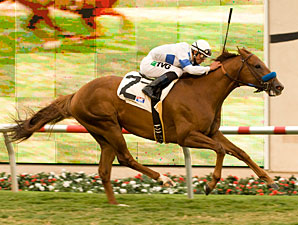 Sidney's Candy wins the 2010 La Jolla.