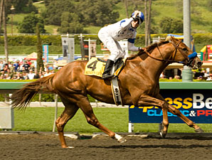 Sidney's Candy wins the 2010 Santa Anita Derby.
