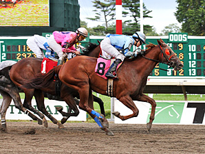 Sierra Ancha wins the 2013 Charles Hesse III Handicap.
