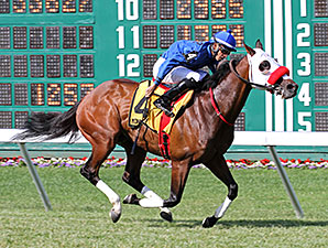 Silent Appeal wins the Dan Horn Handicap.