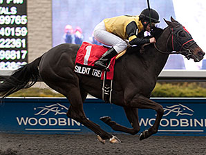 Silent Treat wins the 2014 Ballade Stakes.