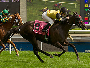 Silent Treat wins the 2014 Zadracarta Stakes.