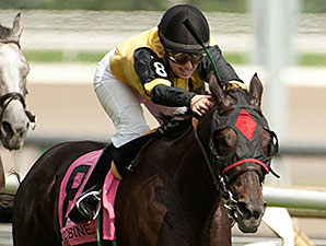 Silent Treat wins the 2014 Zadracarta Stakes.