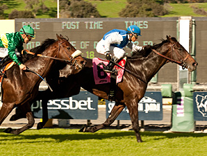 Silentio wins the Sir Beaufort.