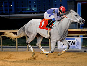 Silver Heart wins the 2012 Original Gold Stakes.