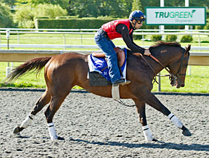 Silver Max - Arlington Park August 17, 2012.