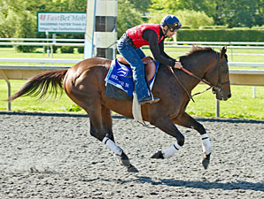 Silver Max - Arlington Park August 17, 2012.