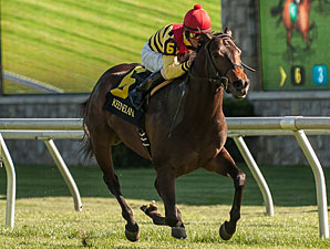 Silver Max wins the 2012 Transylvania.