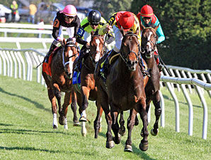 Silver Max wins the 2012 Transylvania.