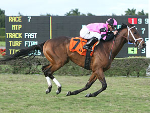 Silver Medallion wins the 2011 Tropical Turf Handicap.