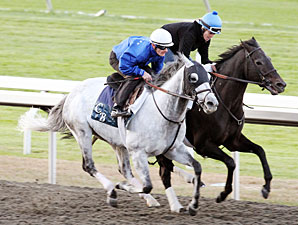 Silver Timber works at Keeneland on October 23, 2010.