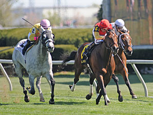 Silver Timber wins the 2010 Shakertown.