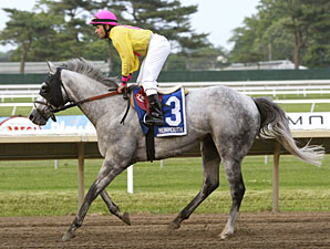 Silver Timber wins the 2010 Wolf Hill Stakes.