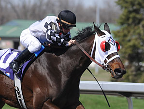 Silver Time wins the 2010 Queen Stakes.