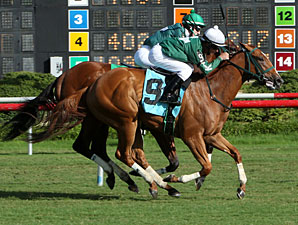 Silvertonguedtommy wins the 2013 Chenery Stakes.